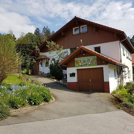 Ferienwohnung Dersch 毛特 外观 照片