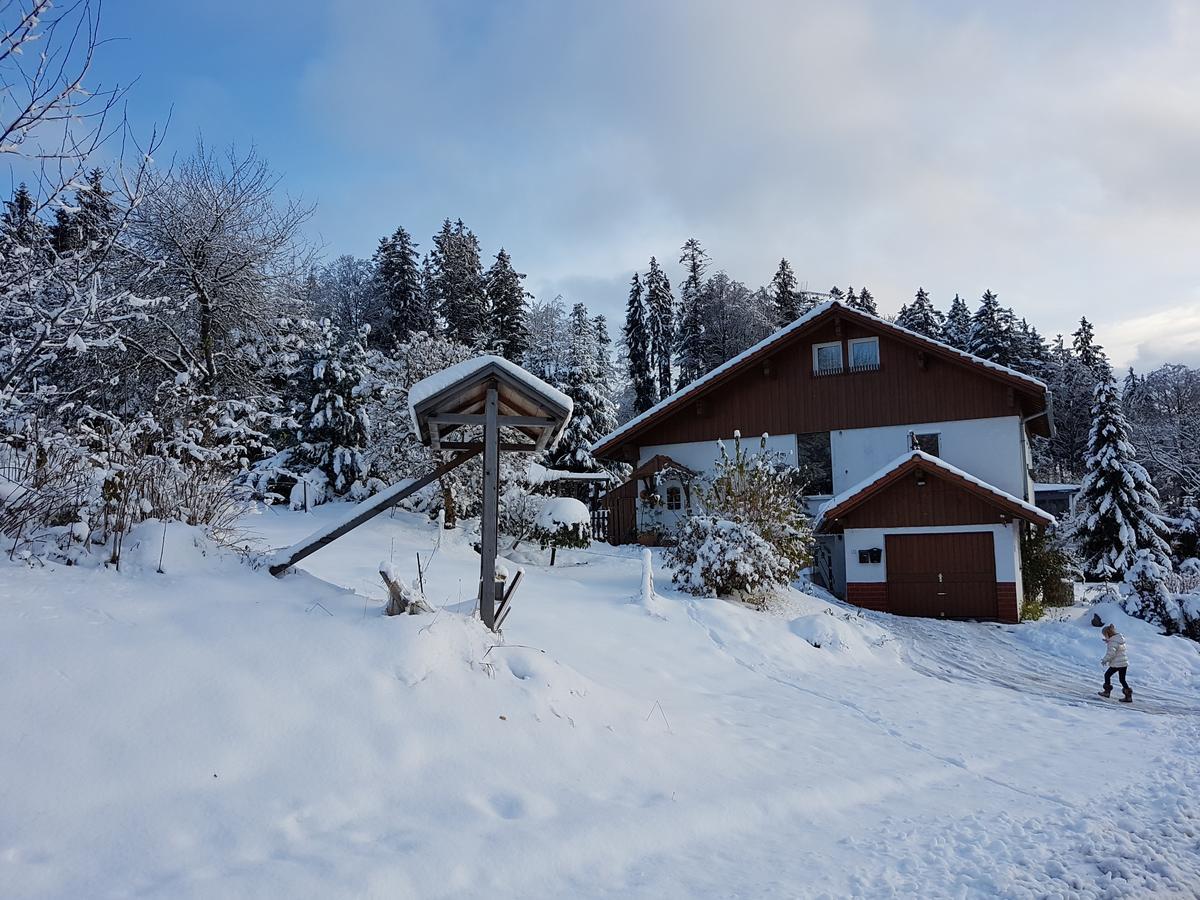 Ferienwohnung Dersch 毛特 外观 照片