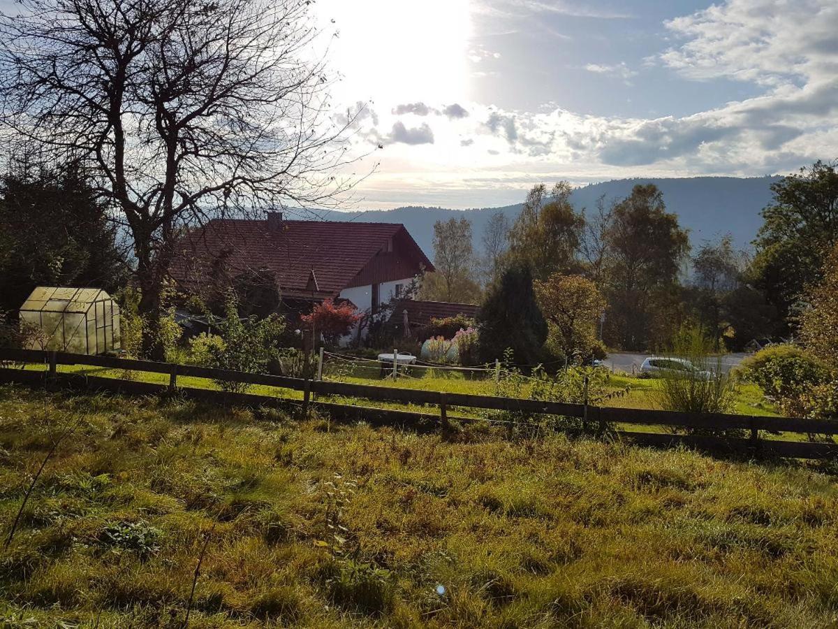 Ferienwohnung Dersch 毛特 外观 照片